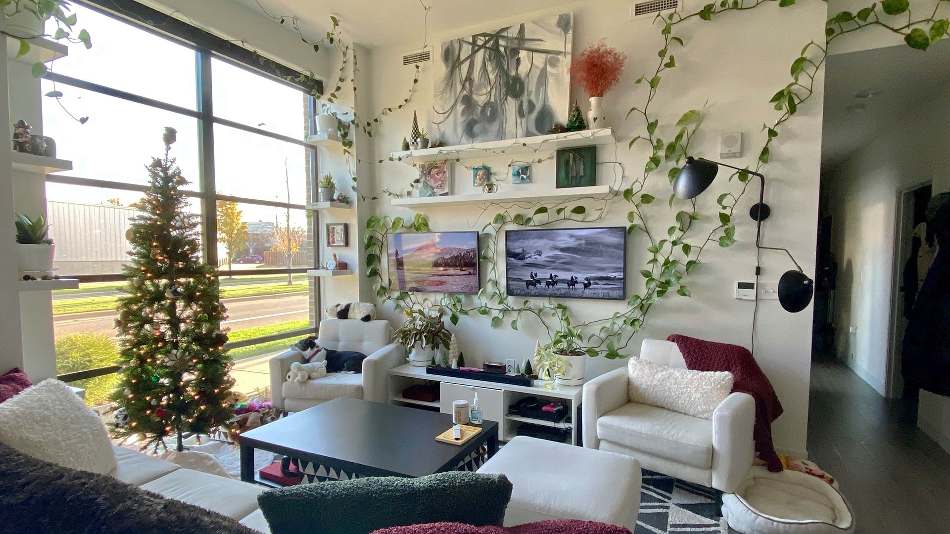 Making it Your Own Personalizing Your Apartment Space Rockford Construction